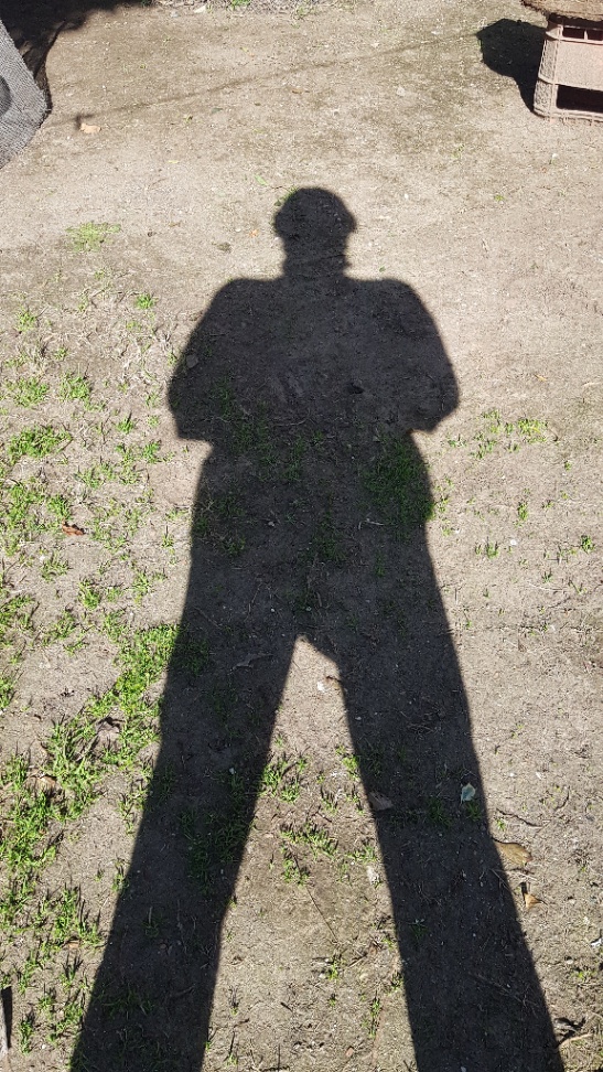 20250729_123308.jpg